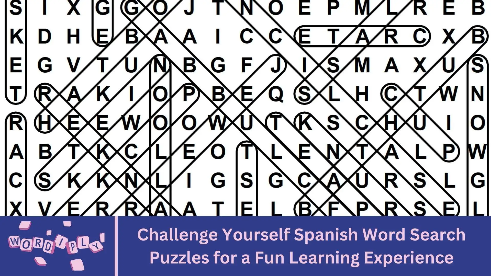 Easy to Read Enjoy Printable Large Print Word Search Puzzles