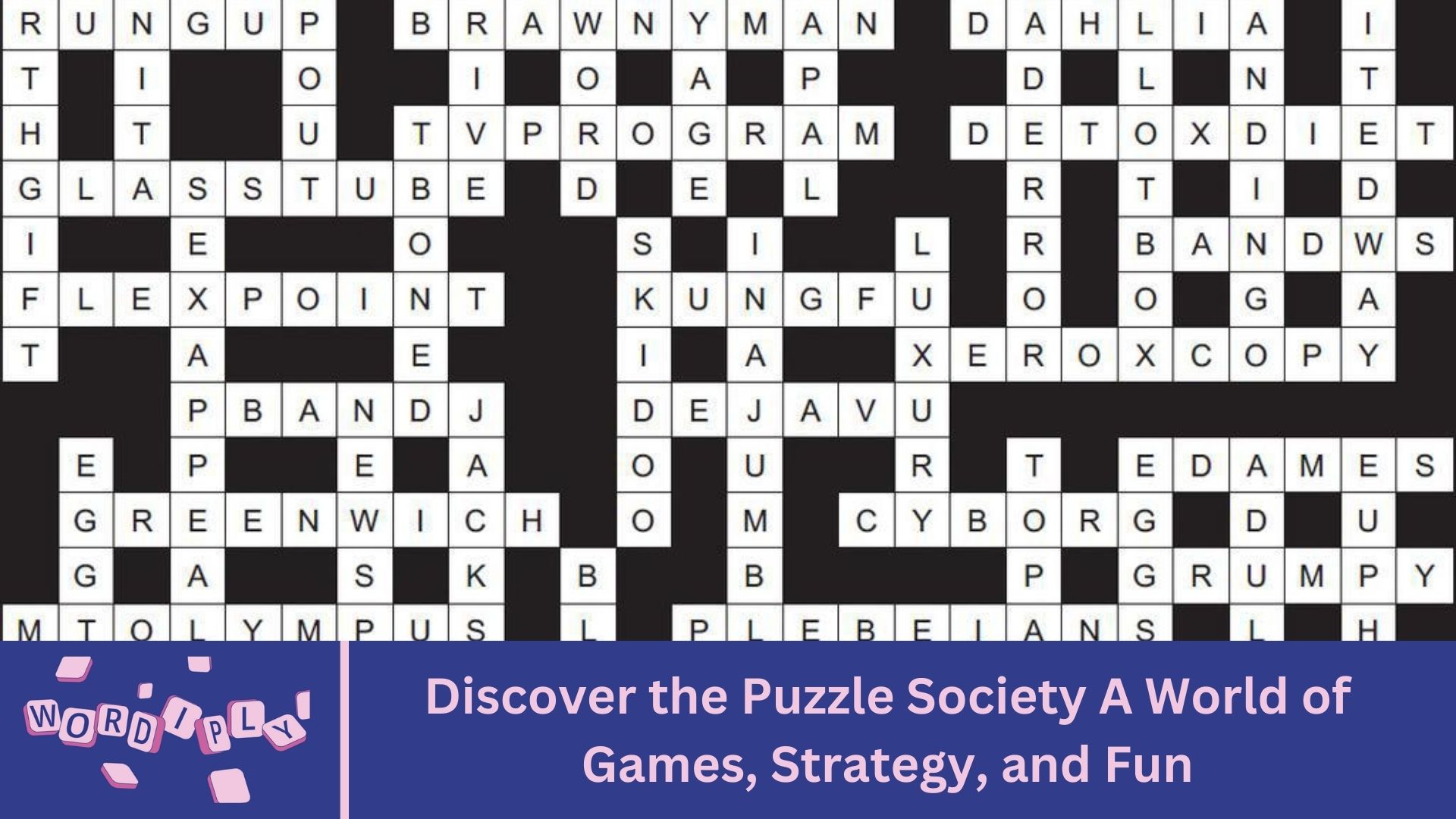 Discover the Puzzle Society A World of Games, Strategy, and Fun